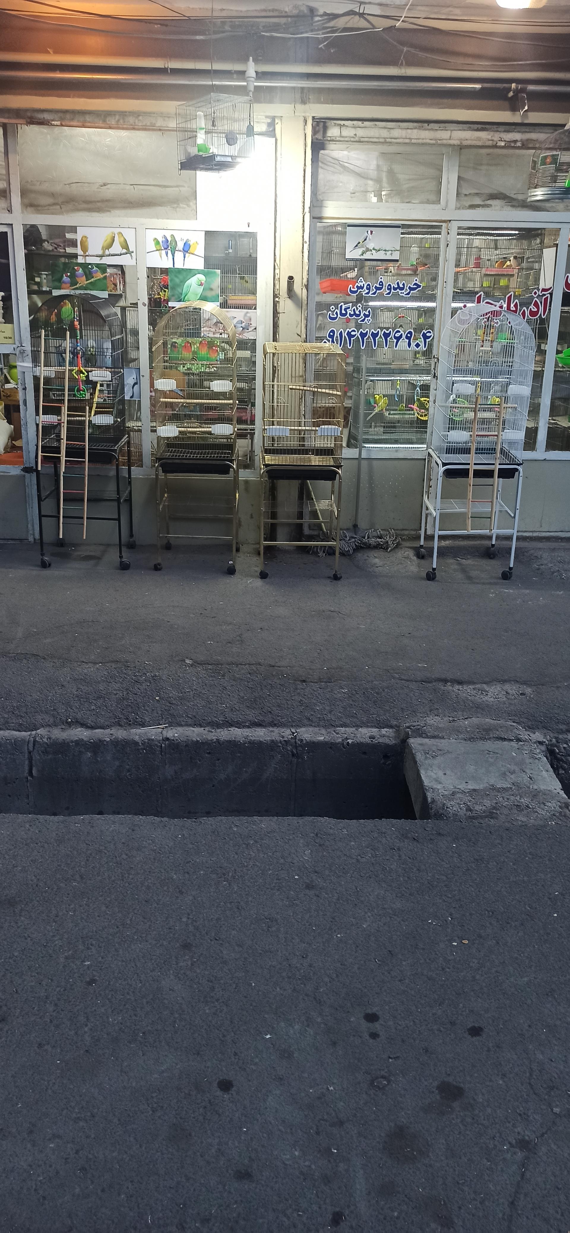 عکس پرنده سرای آذربایجان 