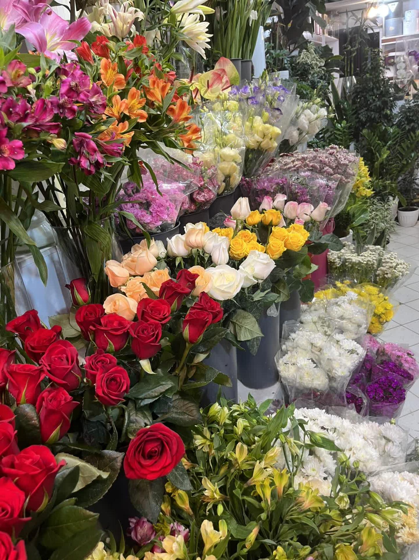 عکس گل فروشی گل گلها