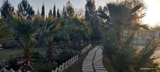 عکس باغ آکسارای