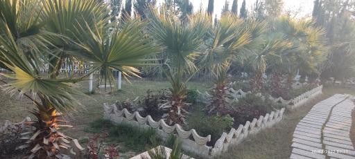 عکس باغ آکسارای