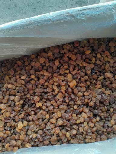 عکس کشمش و انگور داود