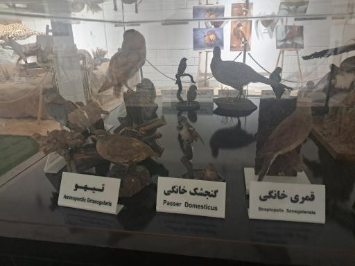 عکس موزه حیات وحش پارک ملی و منطقه محافظت شده ساریگل