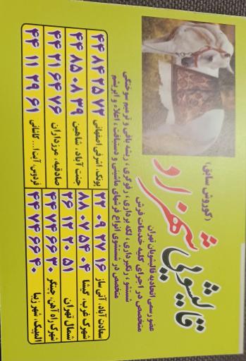 عکس قالیشویی شهزاد