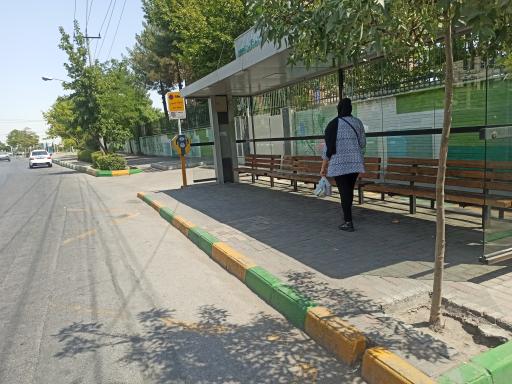 عکس  دانشجو 31