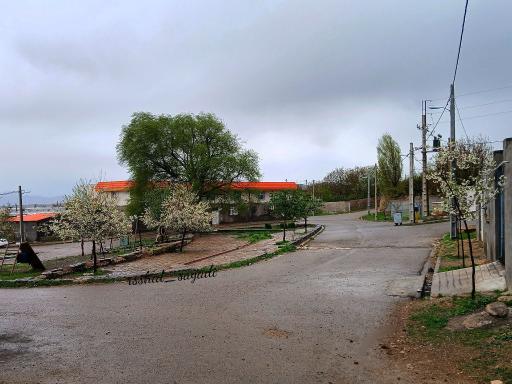 عکس زنجان
