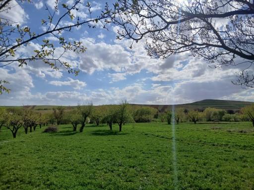 عکس زنجان