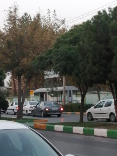عکس  دانشجو 31