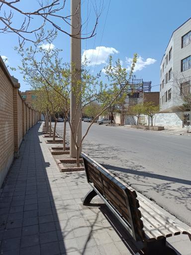 عکس ارغوان 16