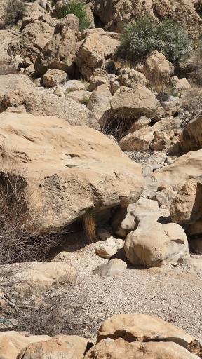 عکس تنگه رغز داراب