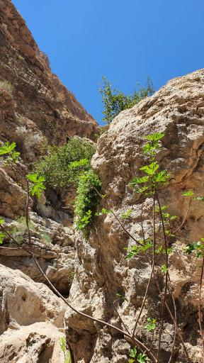 عکس تنگه رغز داراب