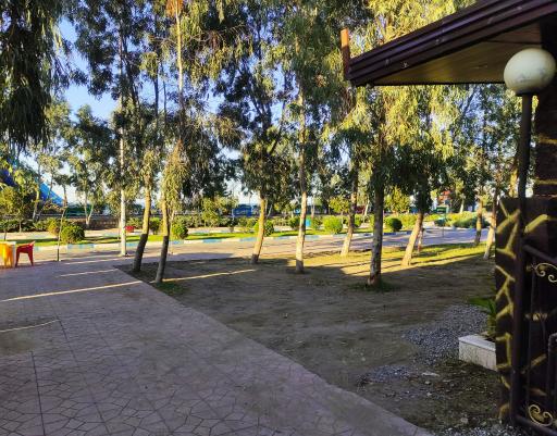 عکس مجتمع ساحلی زیتون