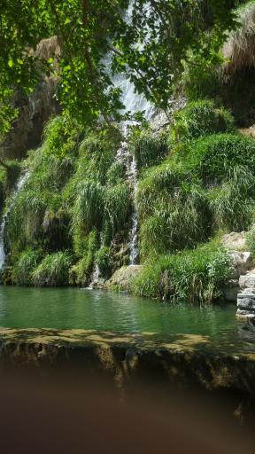 عکس نیاسر