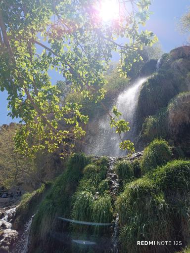 عکس نیاسر