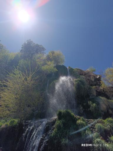 عکس نیاسر