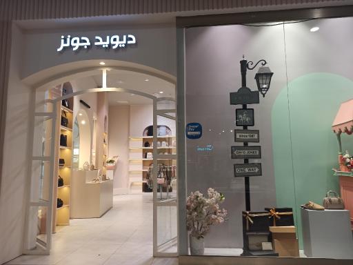 کیف و کفش دیوید جونز