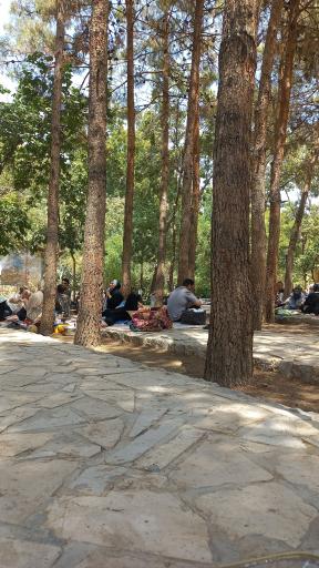 عکس نیاسر