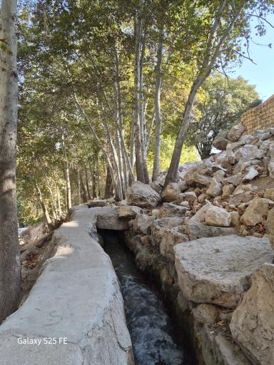 عکس پارک جنگلی استهبان