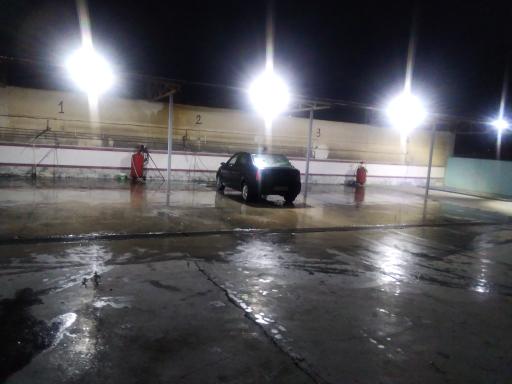 عکس کارواش دلفین