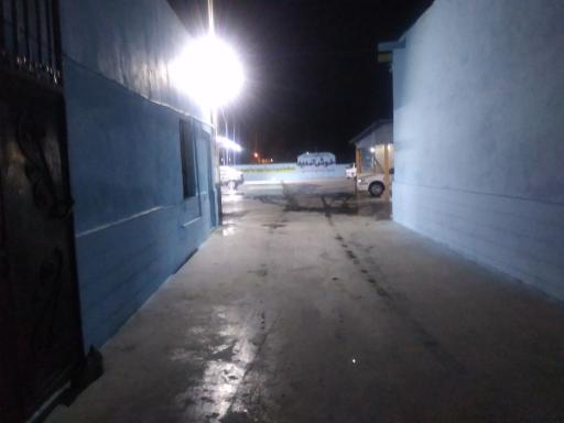 عکس کارواش دلفین