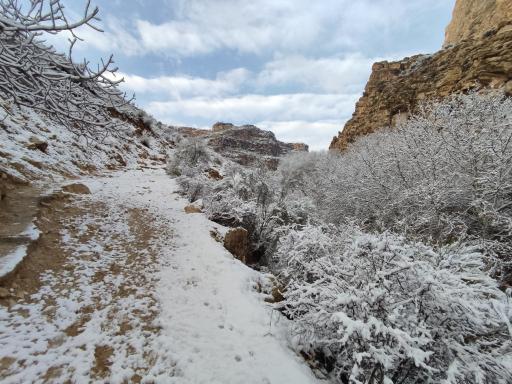 عکس پارک جنگلی استهبان