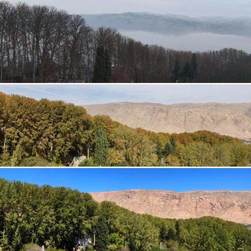 عکس پارک جنگلی استهبان