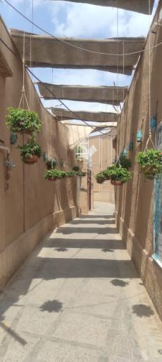 عکس هتل ترنج