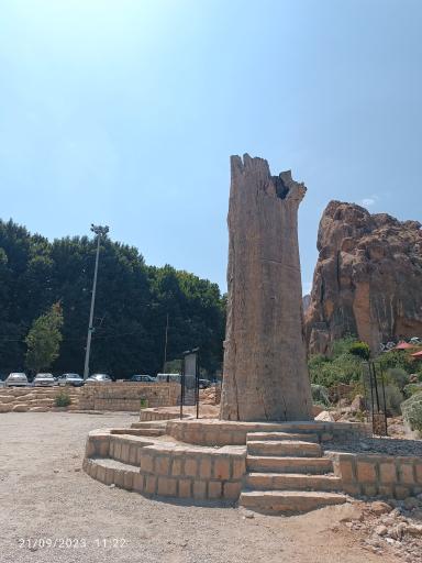 عکس پارک جنگلی استهبان