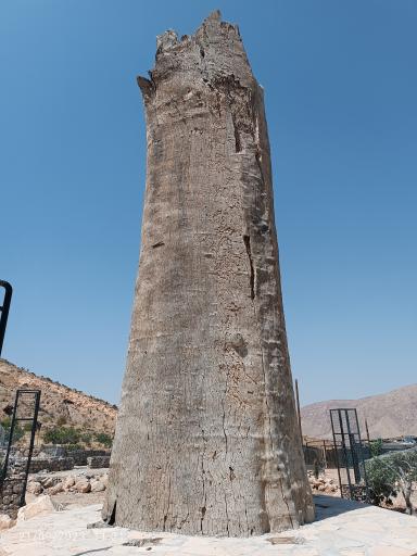 عکس پارک جنگلی استهبان