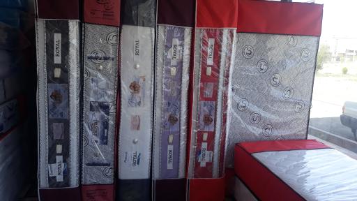 عکس نمایندگی تشک رویال