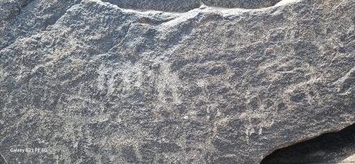 عکس سنگ نگاره‌های باستانی شترسنگ