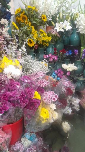 عکس گل لیندا