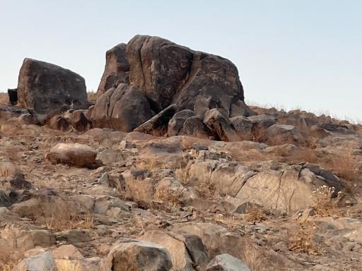 عکس سنگ نگاره‌های باستانی شترسنگ