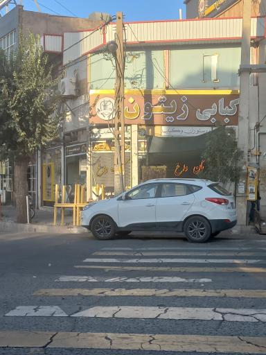 عکس فست فود و کباب ترکی زیتون