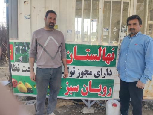 عکس نهالستان رویان سبز