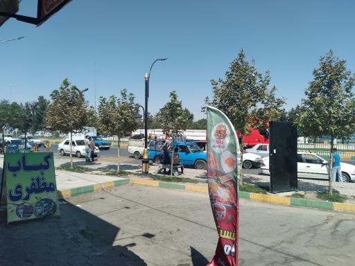 عکس چناران