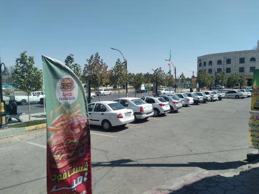 عکس چناران