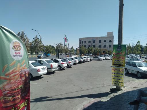 عکس چناران