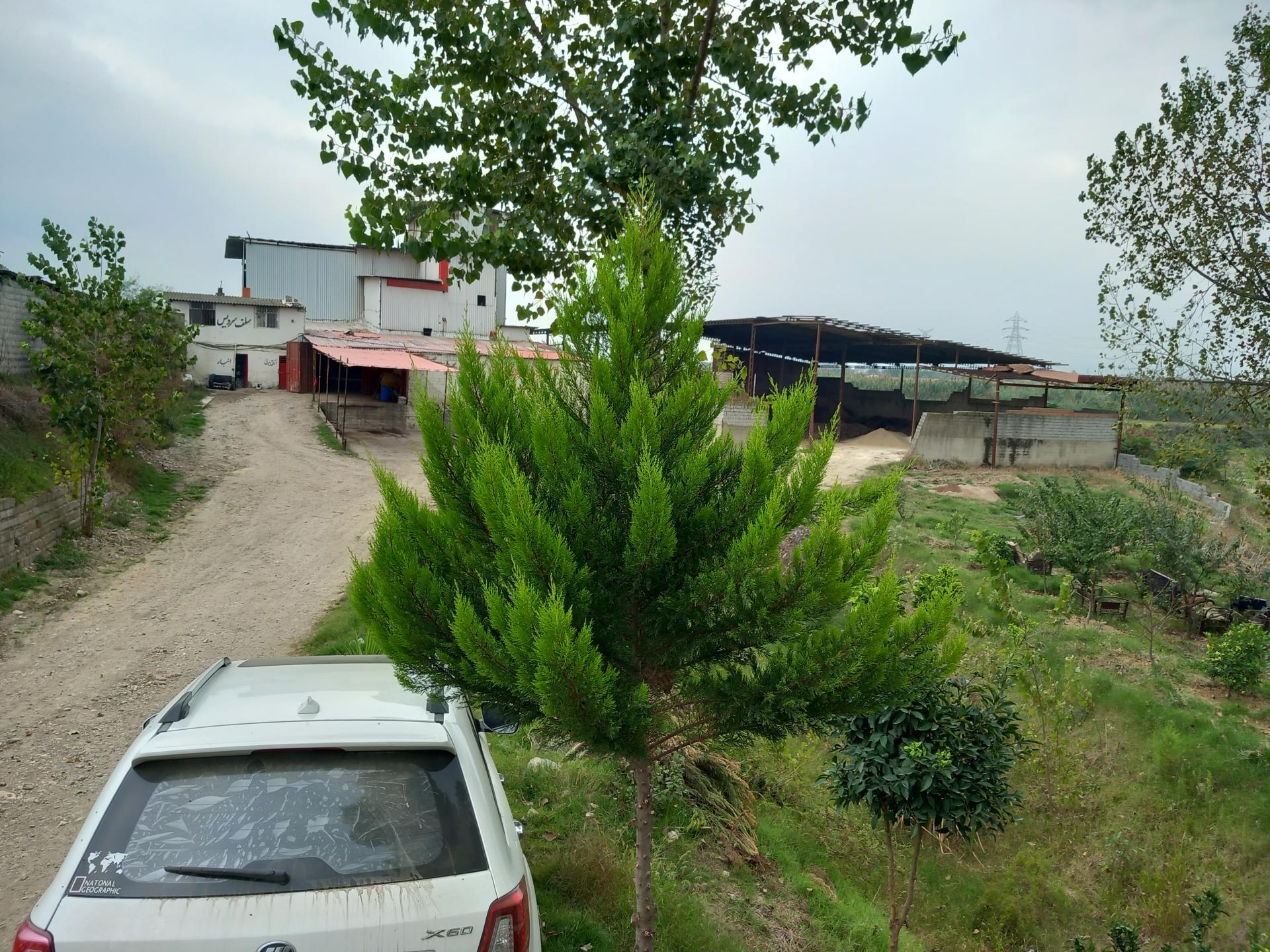 عکس شرکت کود جهان مازند