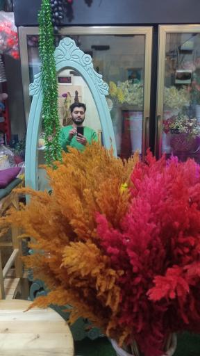 عکس گل بانو