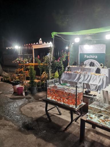 عکس کافه گل پاچیرا 