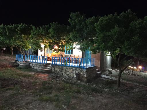 عکس بومگردی جانِ مار