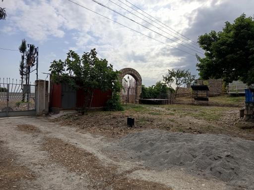 بومگردی جانِ مار