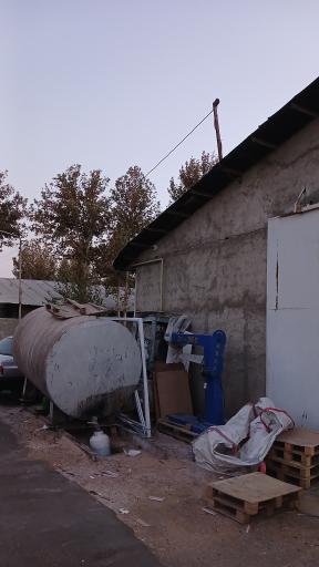 عکس کارتن سازی خزلی