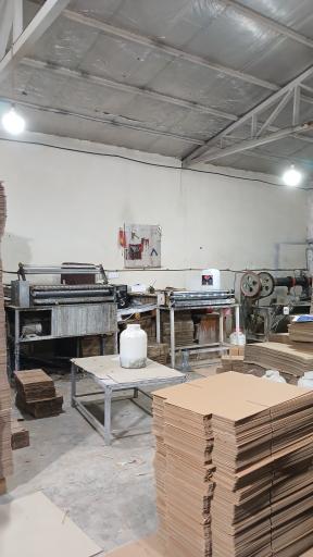 عکس کارتن سازی خزلی