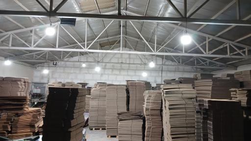 عکس کارتن سازی خزلی