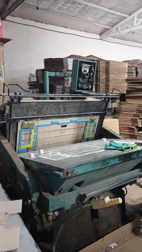 عکس کارتن سازی خزلی