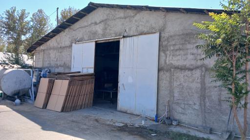 عکس کارتن سازی خزلی