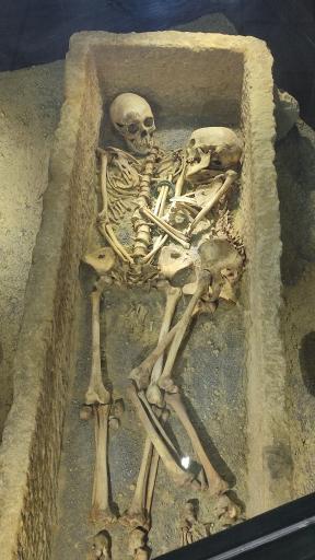 عکس موزه باستان شناسی همدان