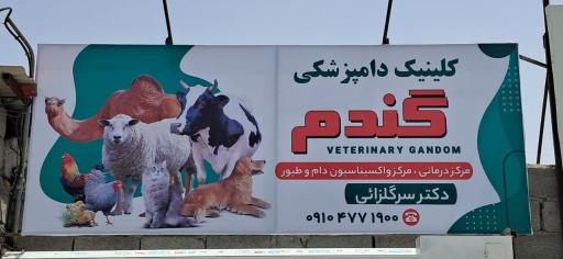 عکس کلینیک دامپزشکی گندم