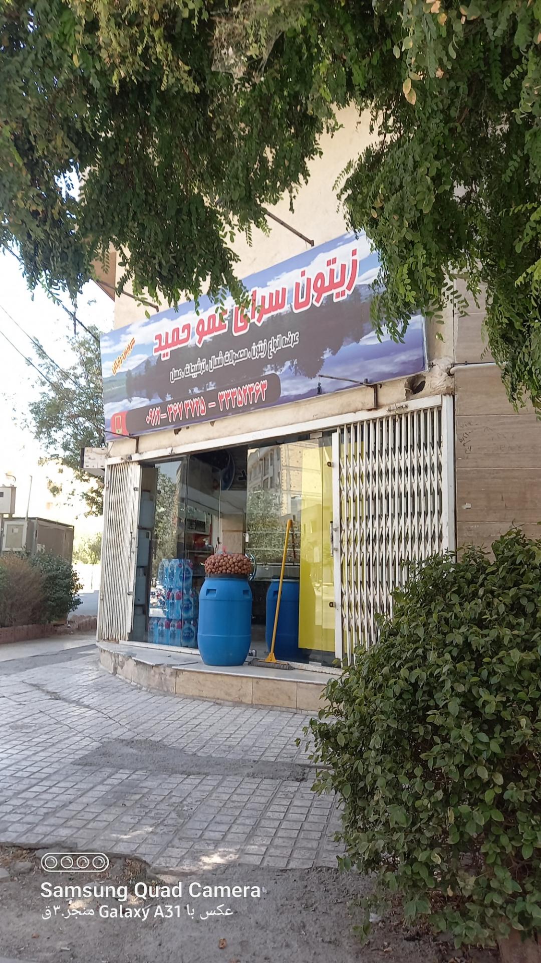 عکس زیتون سرای عمو حمید